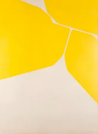 Água-Tinta Palazuelo - Gótica II