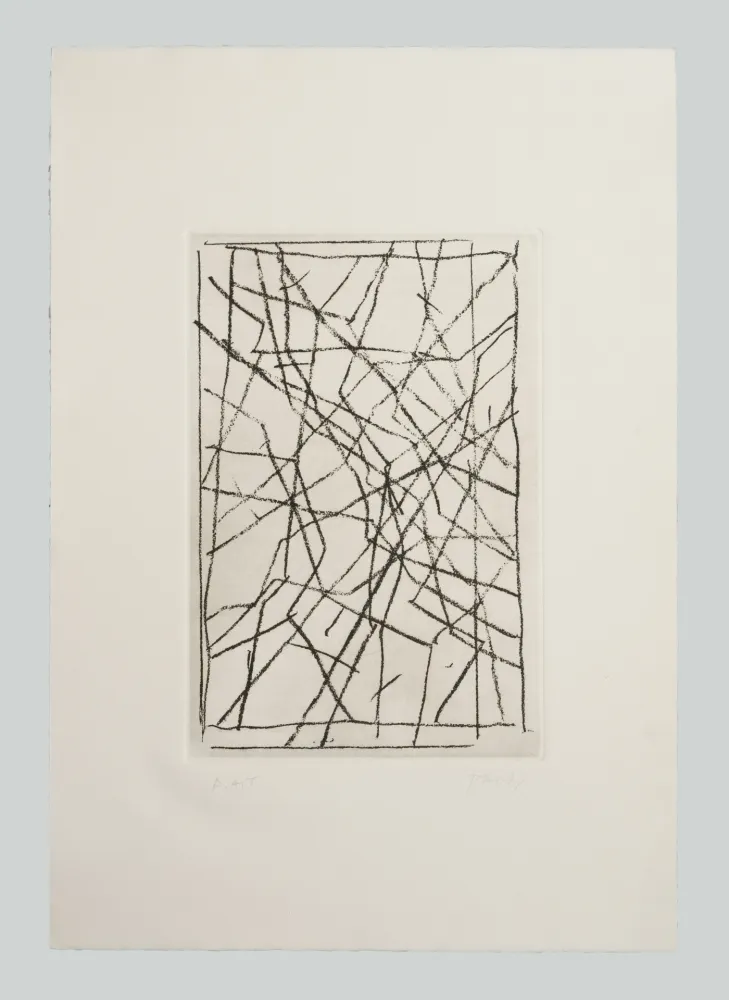 Gravura Pardi - Tiranti