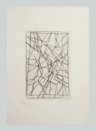 Gravura Pardi - Tiranti