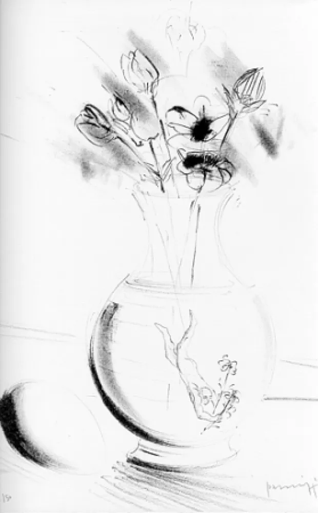 Livro Ilustrado Parmiggiani - Satyavati