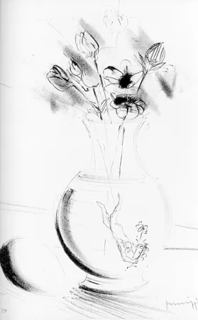 Livro Ilustrado Parmiggiani - Satyavati