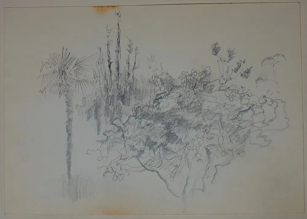 Sem Técnica Pastor - Etude