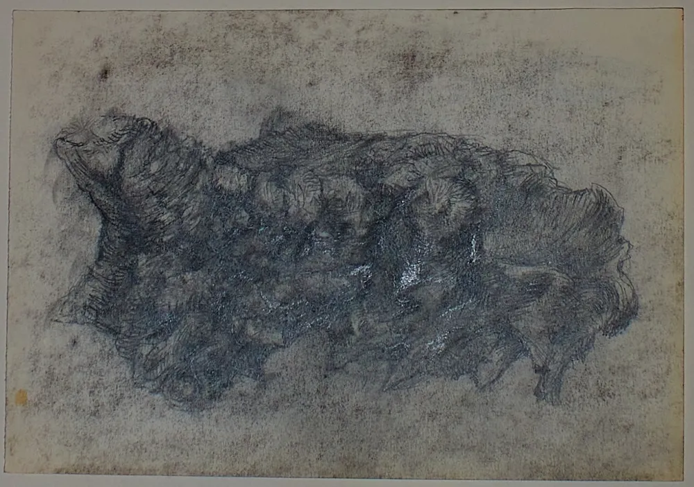 Sem Técnica Pastor - Etude