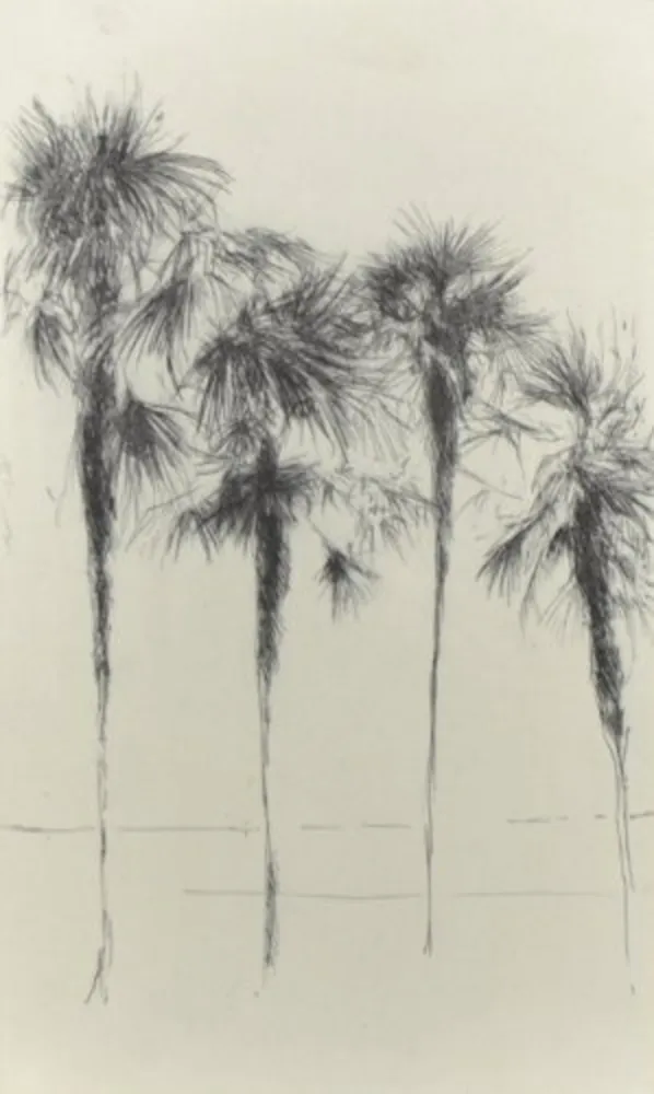 Múltiplo Paul P - Palmeres