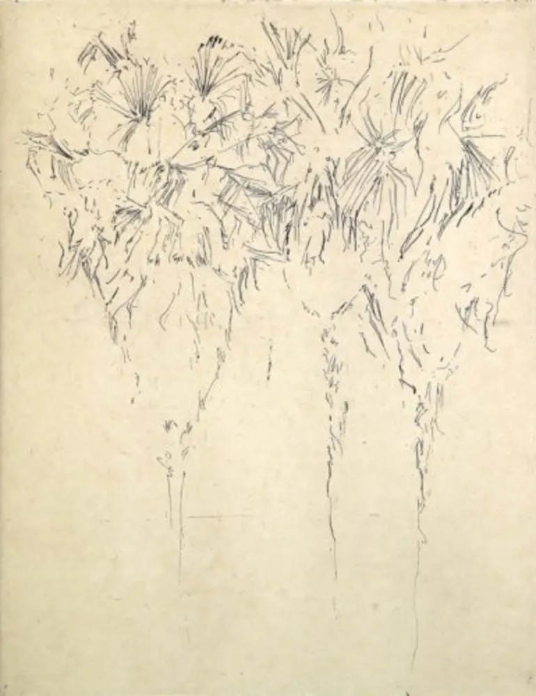 Múltiplo Paul P - Tres palmeres