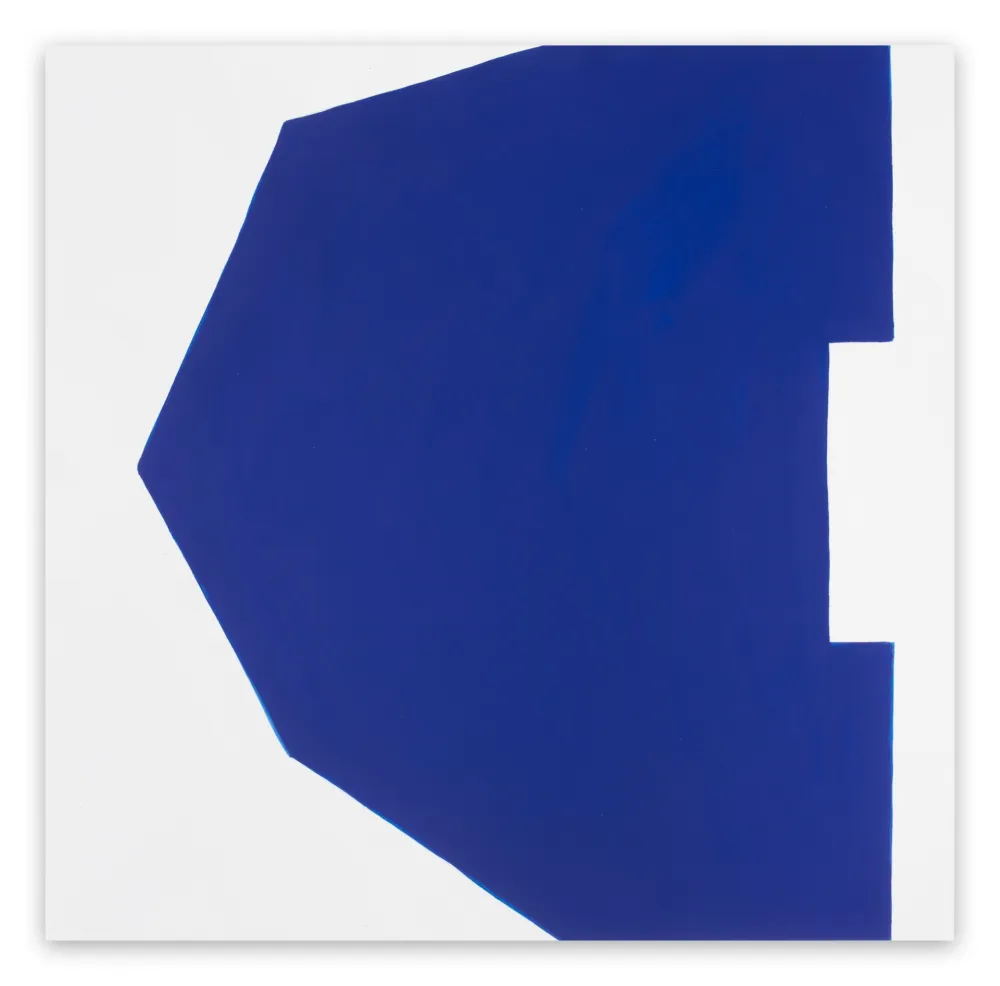 Sem Técnica Pedersen - Cut-Up Paper II.8