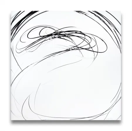 Sem Técnica Peerna - Maelstrom Series 67