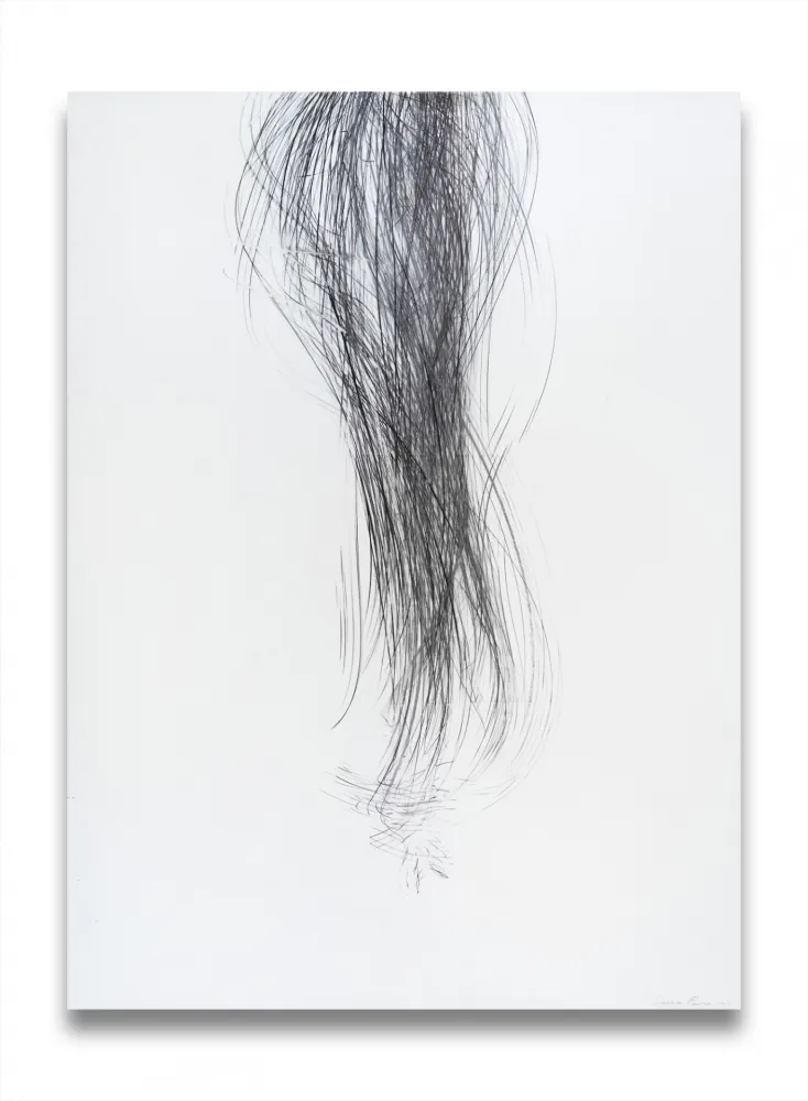 Sem Técnica Peerna - Spill (ref 857)