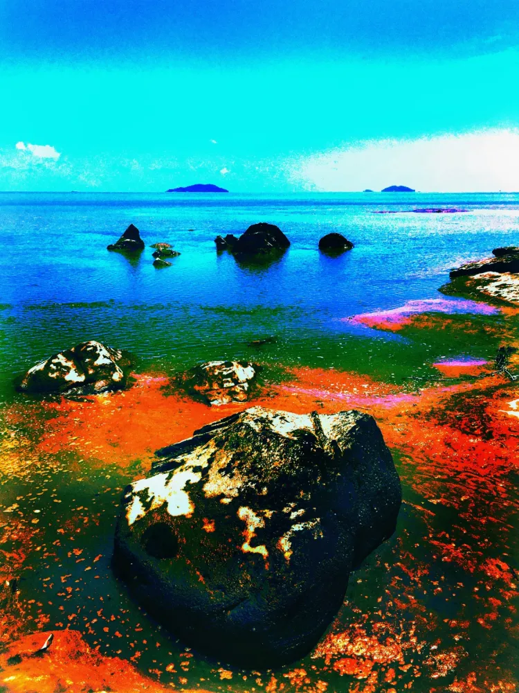 Sem Técnica Pellarose - Pacific Orange Rocks