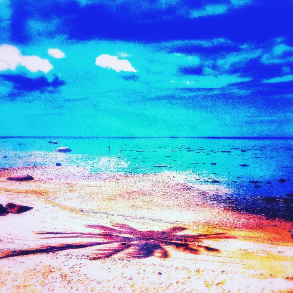 Sem Técnica Pellarose - Pacific Palms