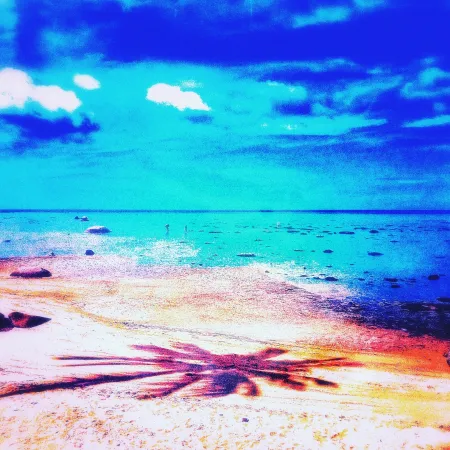 Sem Técnica Pellarose - Pacific Palms