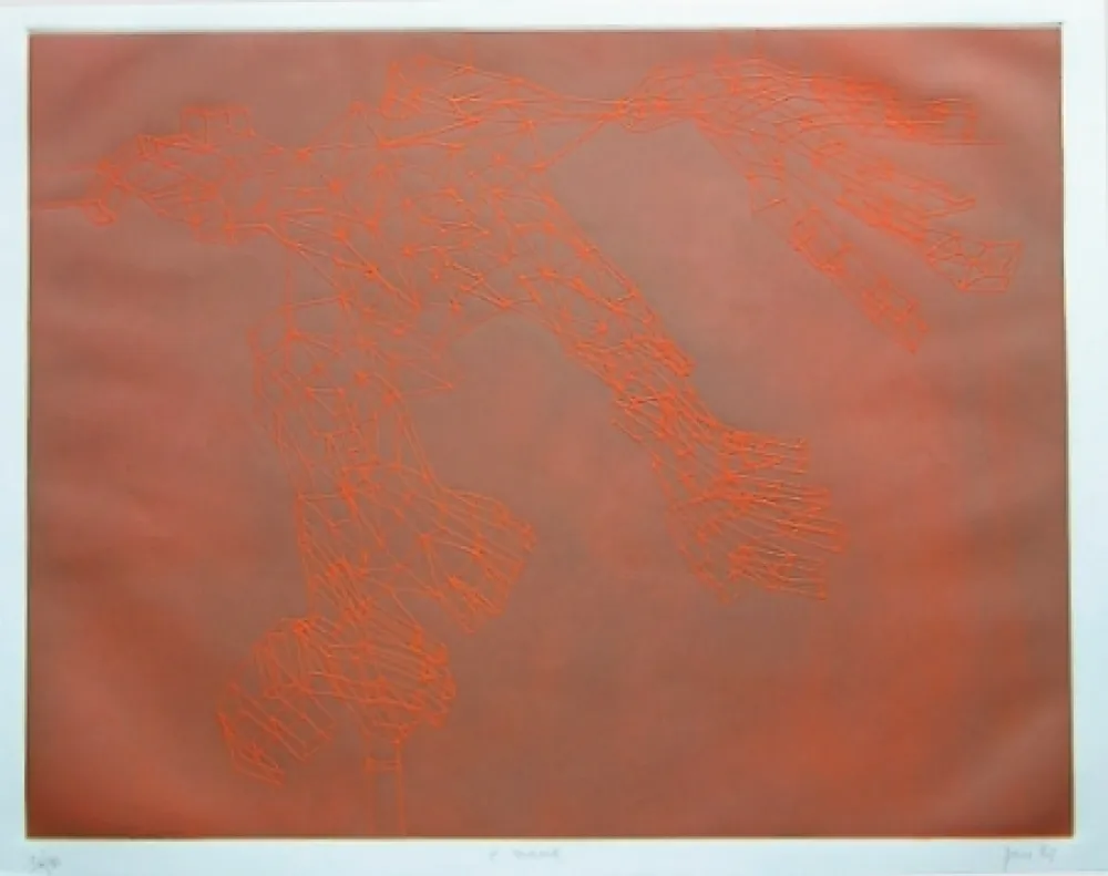 Água-Forte E Água-Tinta Perilli - E' mana