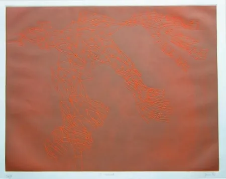 Água-Forte E Água-Tinta Perilli - E' mana