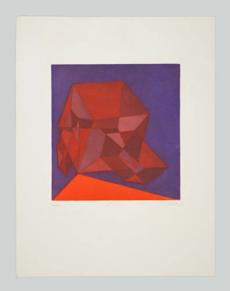 Água-Forte E Água-Tinta Perilli - Lot