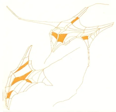 Livro Ilustrado Perilli - Phrases