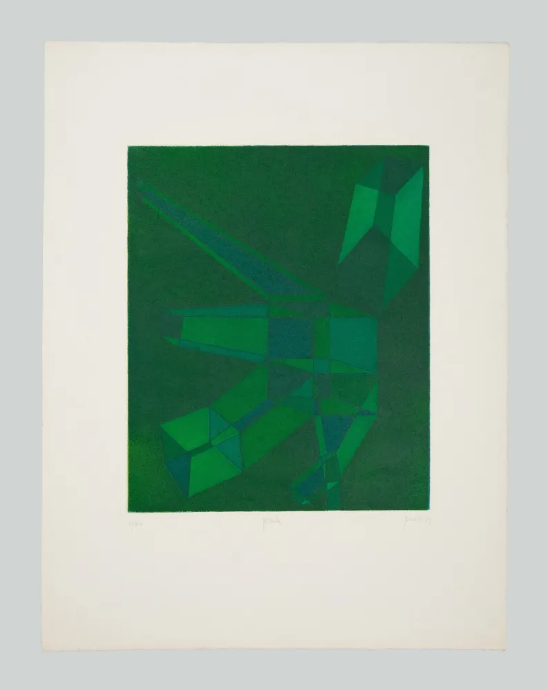 Água-Forte E Água-Tinta Perilli - Pirula