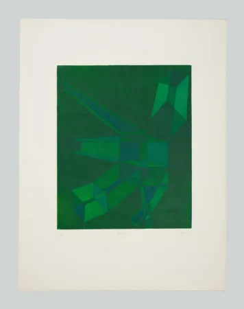 Água-Forte E Água-Tinta Perilli - Pirula