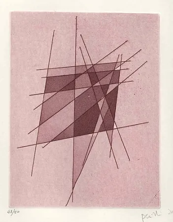 Livro Ilustrado Perilli - Sylvatica