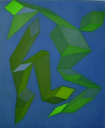 Água-Forte E Água-Tinta Perilli - Tanzeclabirinthen