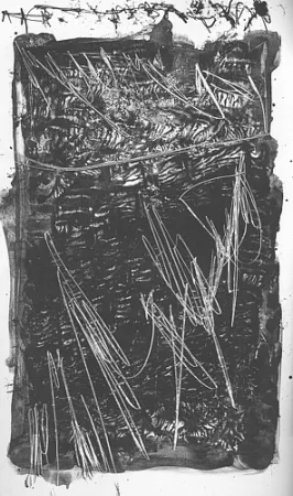 Livro Ilustrado Perilli - Theatrum Sanitatis