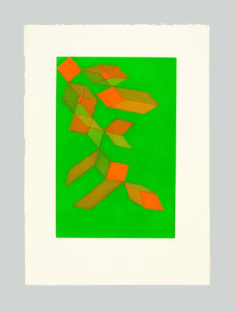 Água-Forte E Água-Tinta Perilli - Vedra