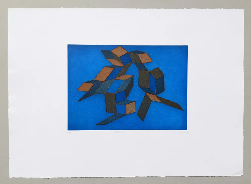 Água-Tinta Perilli - Venturiana