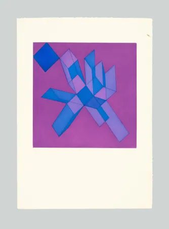 Água-Forte E Água-Tinta Perilli - Viodra