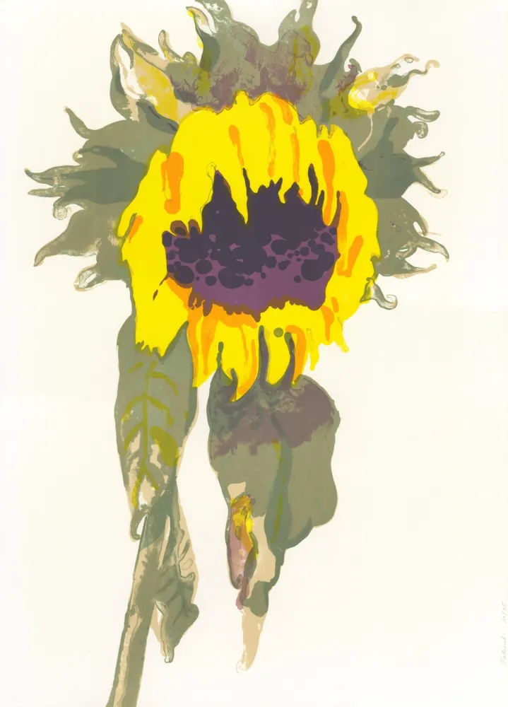 Litografia Pétrovitch - Soleil