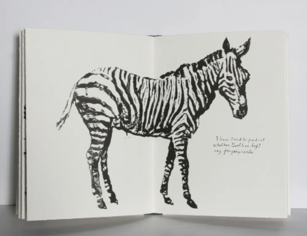 Livro Ilustrado Pettibon - Plots on Loan