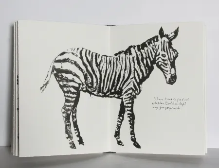 Livro Ilustrado Pettibon - Plots on Loan