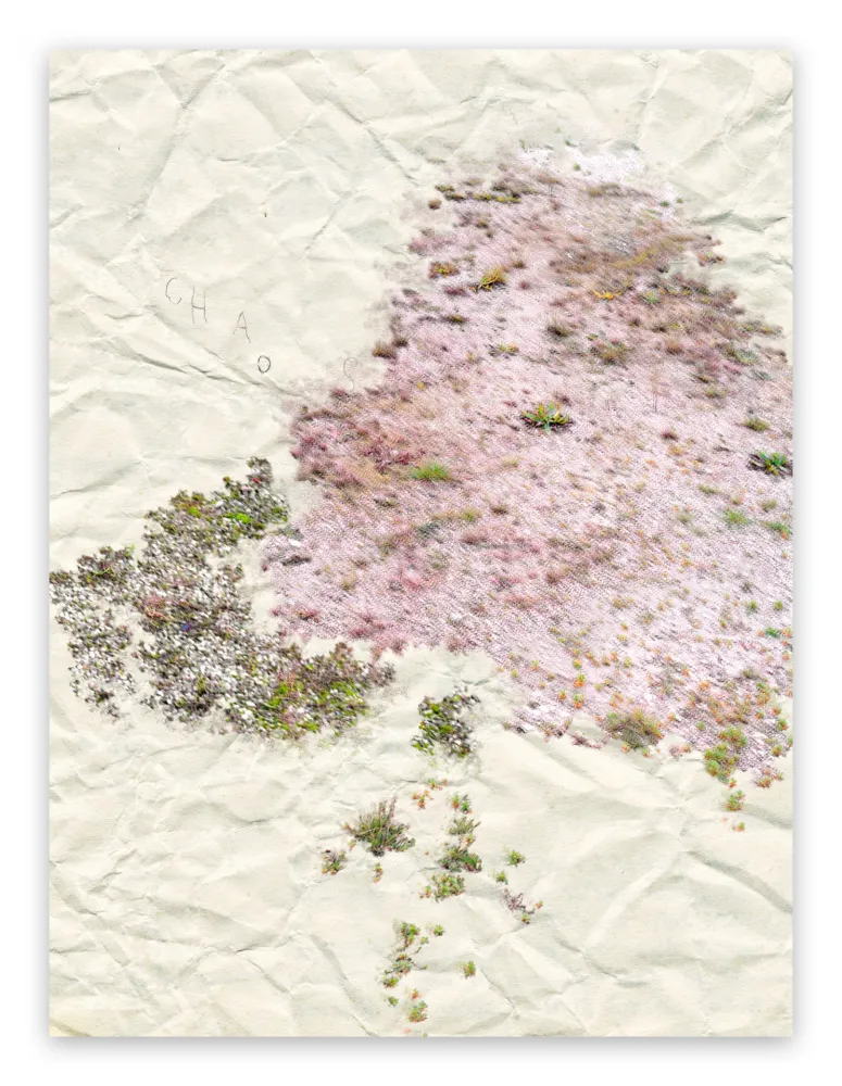 Fotografia Pezzot - I. Anthropological Purity