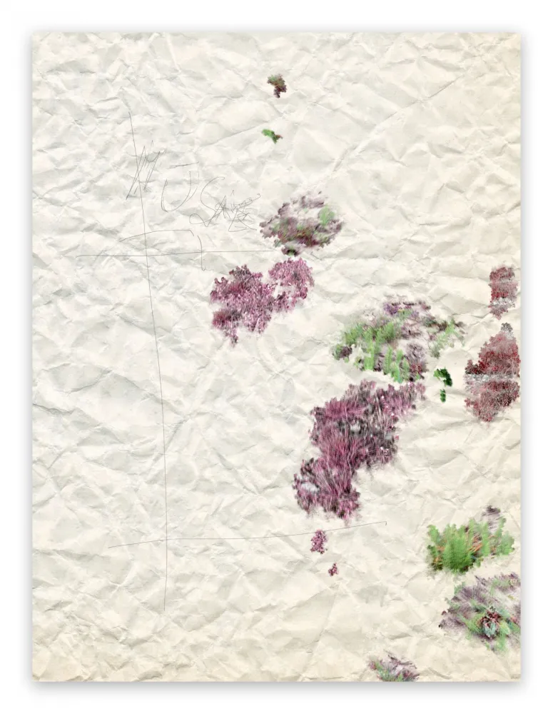 Fotografia Pezzot - II. Marvellous Unconsciousness