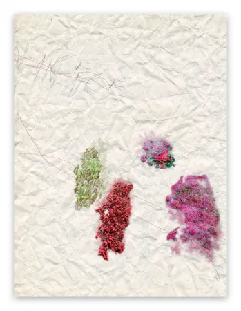 Fotografia Pezzot - IV. Nice