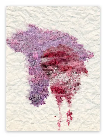 Fotografia Pezzot - IX: Genesi