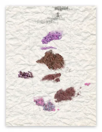 Fotografia Pezzot - V. Dogmatic Thinking