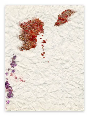 Fotografia Pezzot - VII: Istinto Primordiale