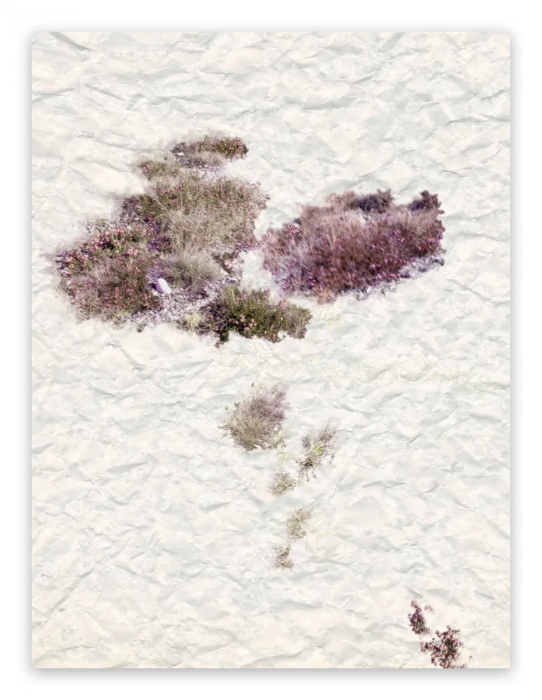 Fotografia Pezzot - VIII: The Unselfconsciousness Of Eros