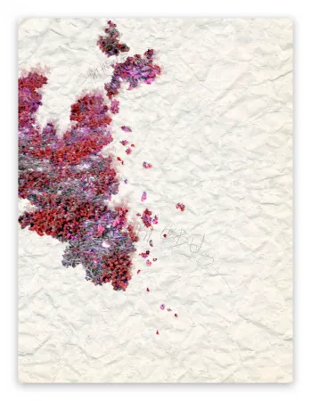 Fotografia Pezzot - X: Pleasant Dementia