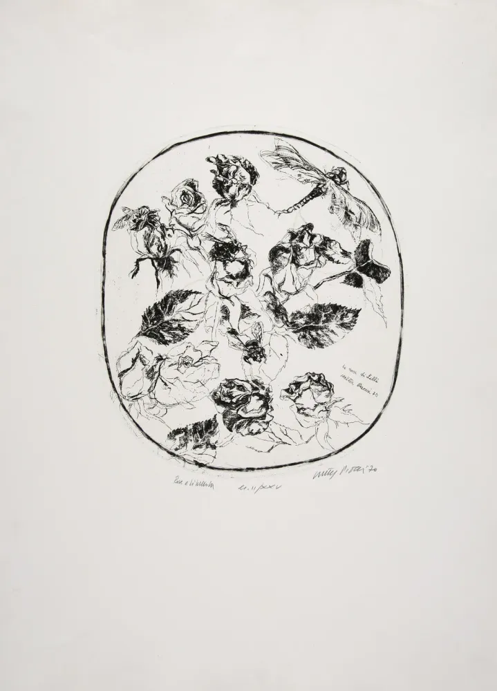 Água-Forte Piacesi - Rose e libellula