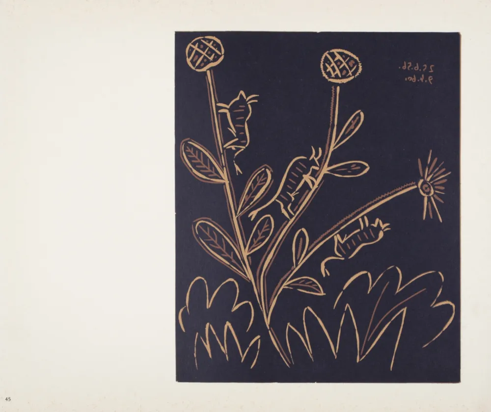 Linogravura Picasso (After) - Plante aux Toritos, 1962