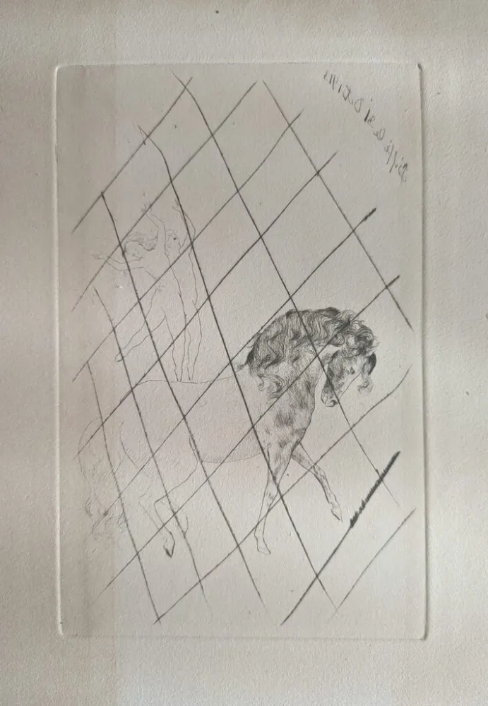 Ponta-Seca Picasso - Au cirque