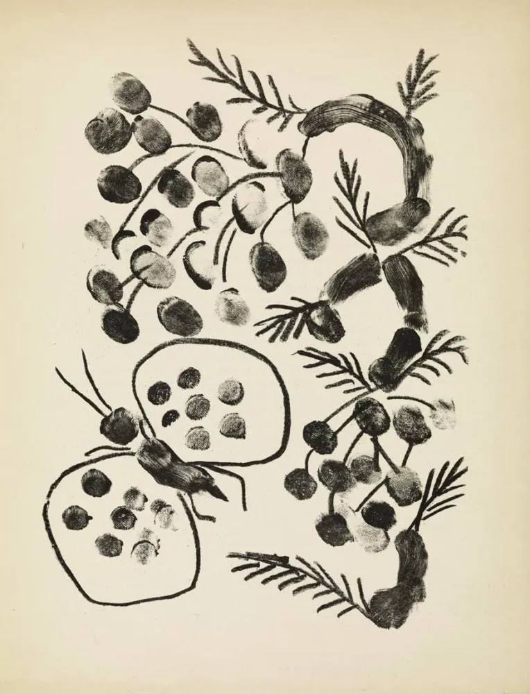 Litografia Picasso - De mémoir d'homme, Planche VIII
