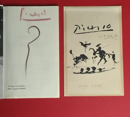 Livro Ilustrado Picasso - Griffes de Picasso 