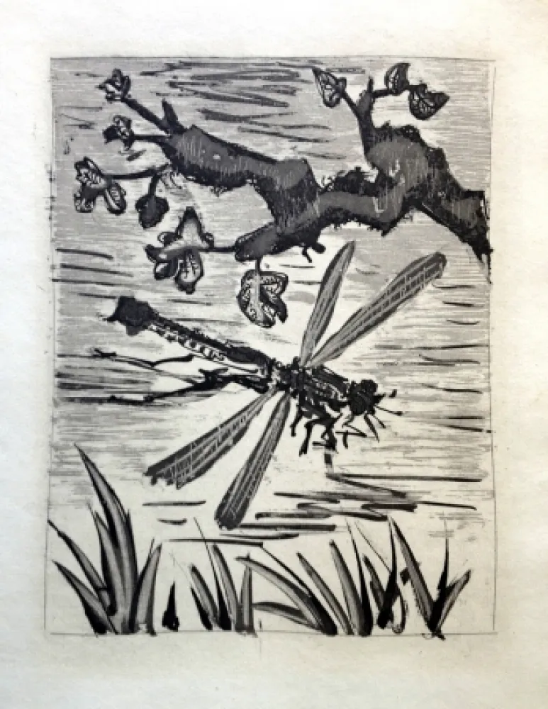 Água-Forte E Água-Tinta Picasso - LA LIBELLULE