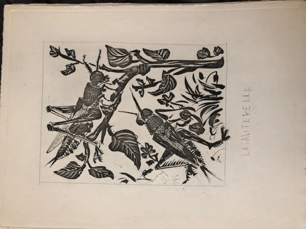 Água-Tinta Picasso - La sauterelle