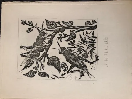 Água-Tinta Picasso - La sauterelle