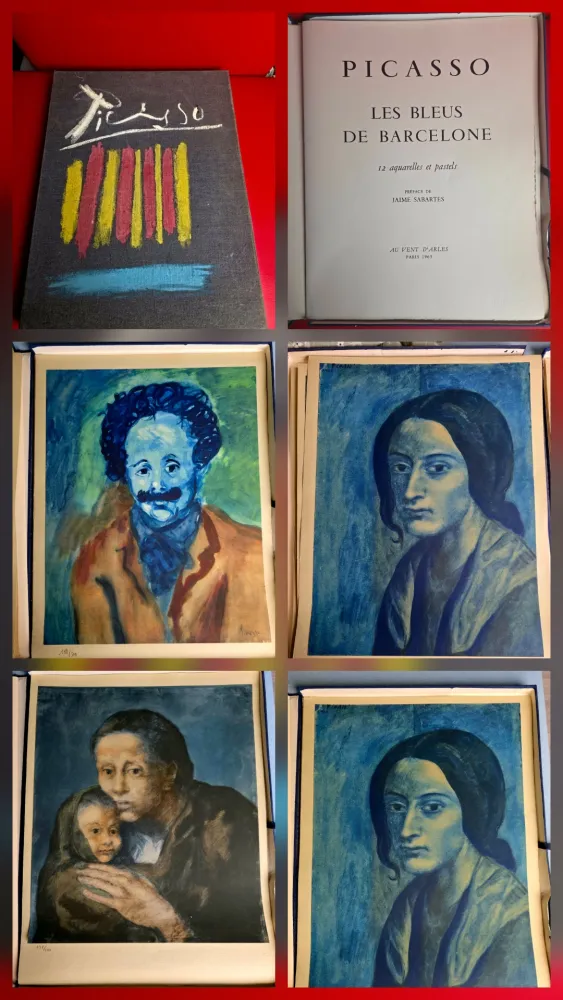 Estêncil Picasso - Le Bleus de Barcelone- Incomplete 