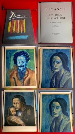 Estêncil Picasso - Le Bleus de Barcelone- Incomplete 