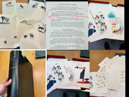 Livro Ilustrado Picasso - One of One /Unique- Chant Funèbre pour Ignacio Sánchez Mejías 