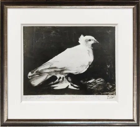Fotografia Picasso - The Dove of Peace
